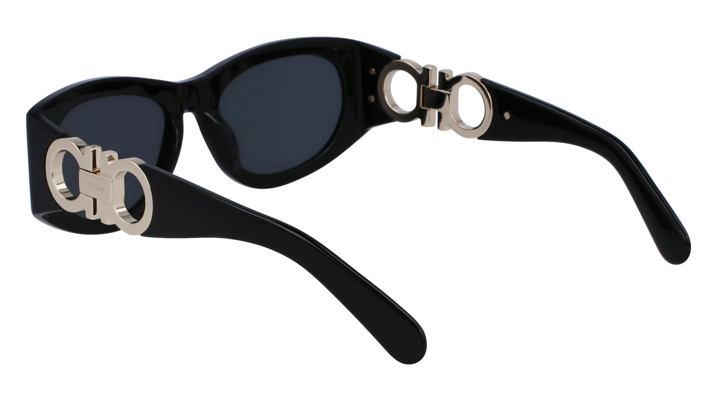 FERRAGAMO Sunglasses SF1082SN 1 53