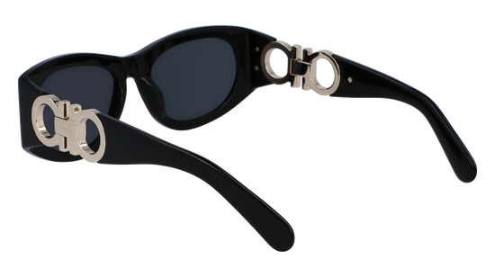 FERRAGAMO Sunglasses SF1082SN 1 53