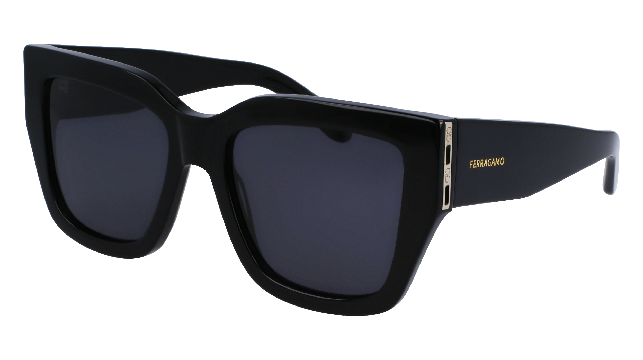 FERRAGAMO Sunglasses SF1104S 1 55