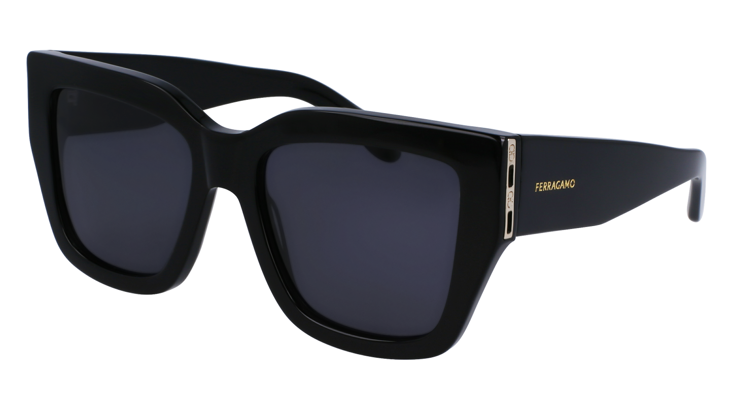 FERRAGAMO Sunglasses SF1104S 1 55