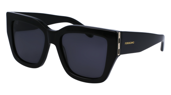 FERRAGAMO Sunglasses SF1104S 1 55