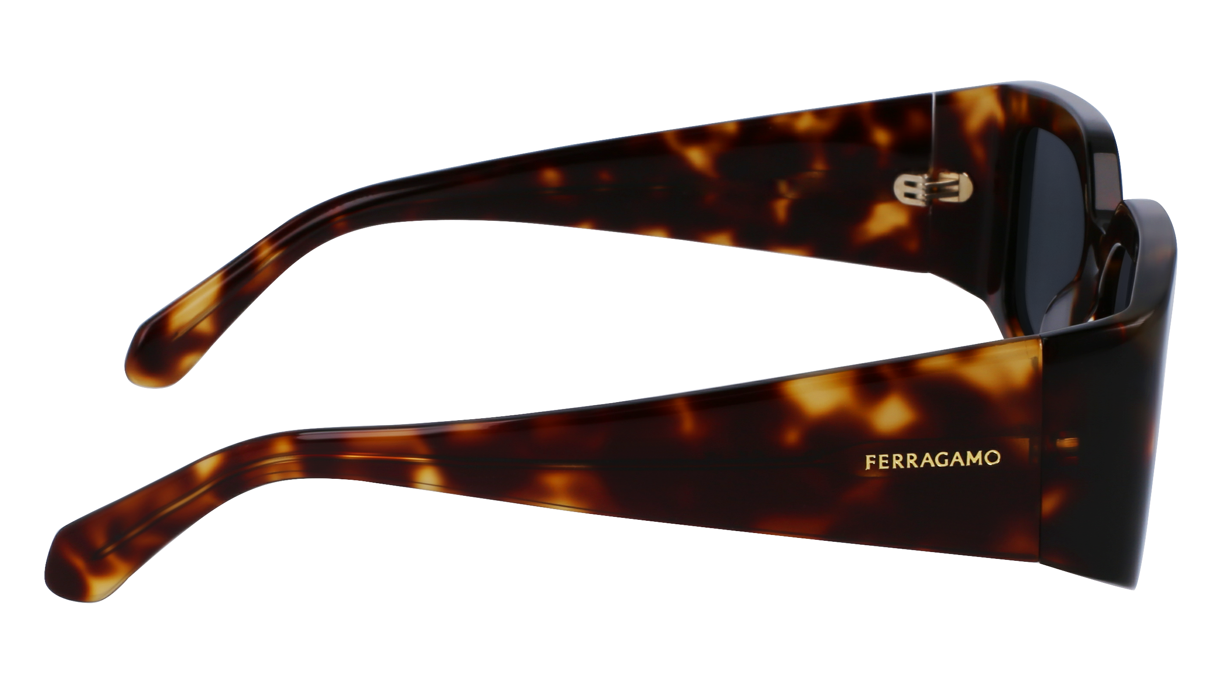 FERRAGAMO Sunglasses SF1101S 242 54