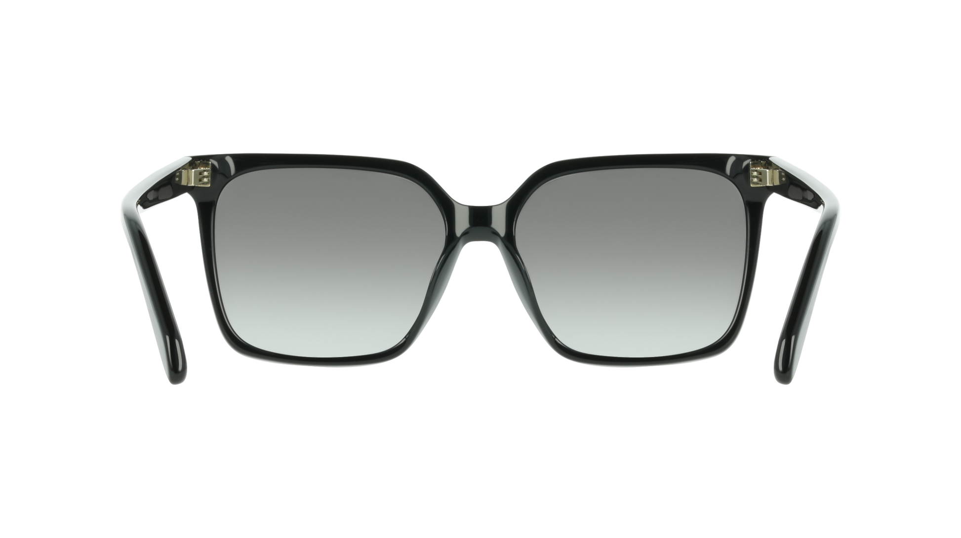 Ferragamo SF2102S 1