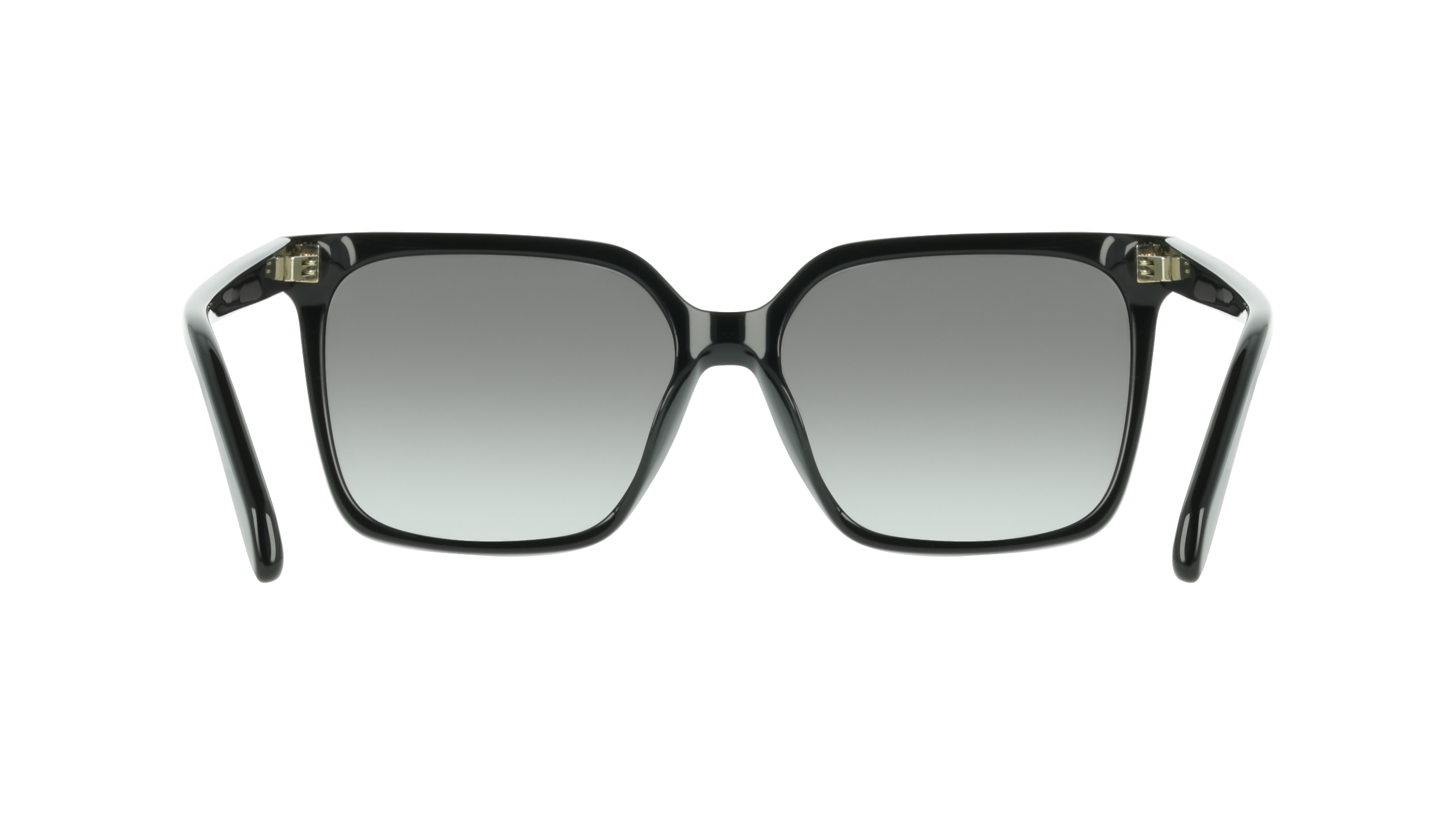 Ferragamo SF2102S 1