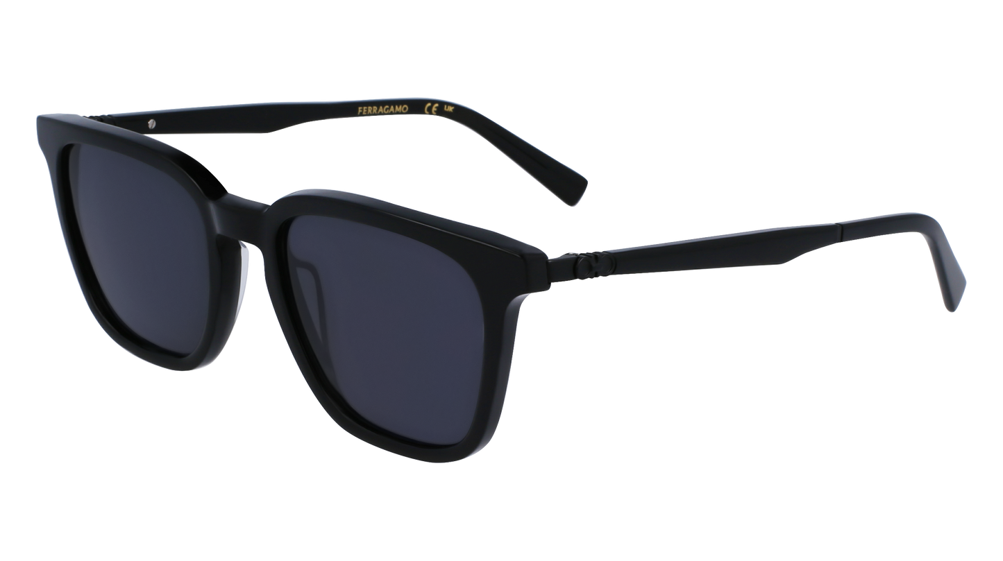 FERRAGAMO Sunglasses SF1100S 1 52