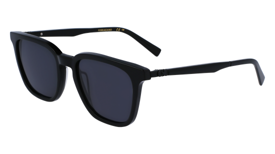 FERRAGAMO Sunglasses SF1100S 1 52