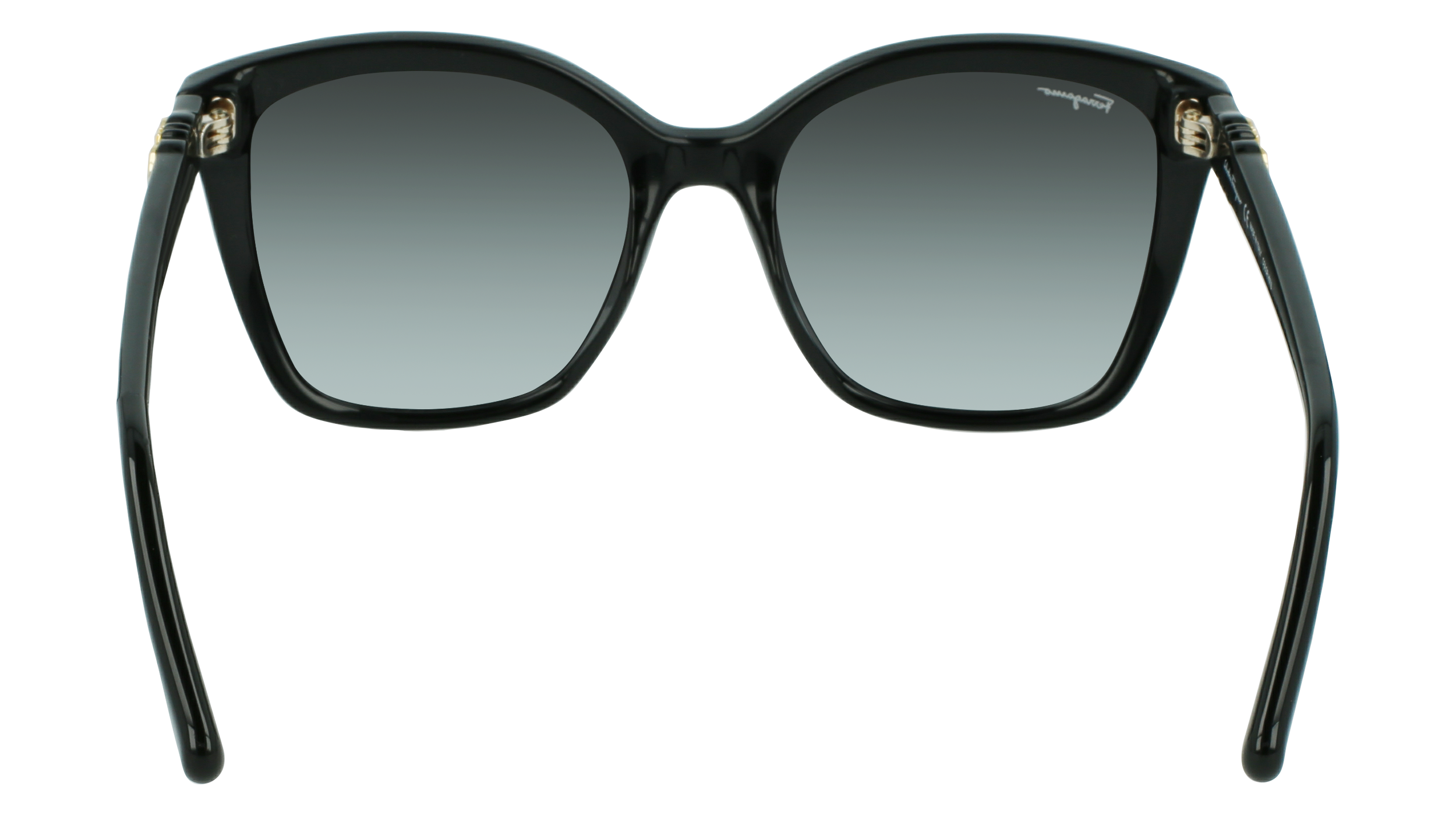 FERRAGAMO Sunglasses SF1026S 1 54