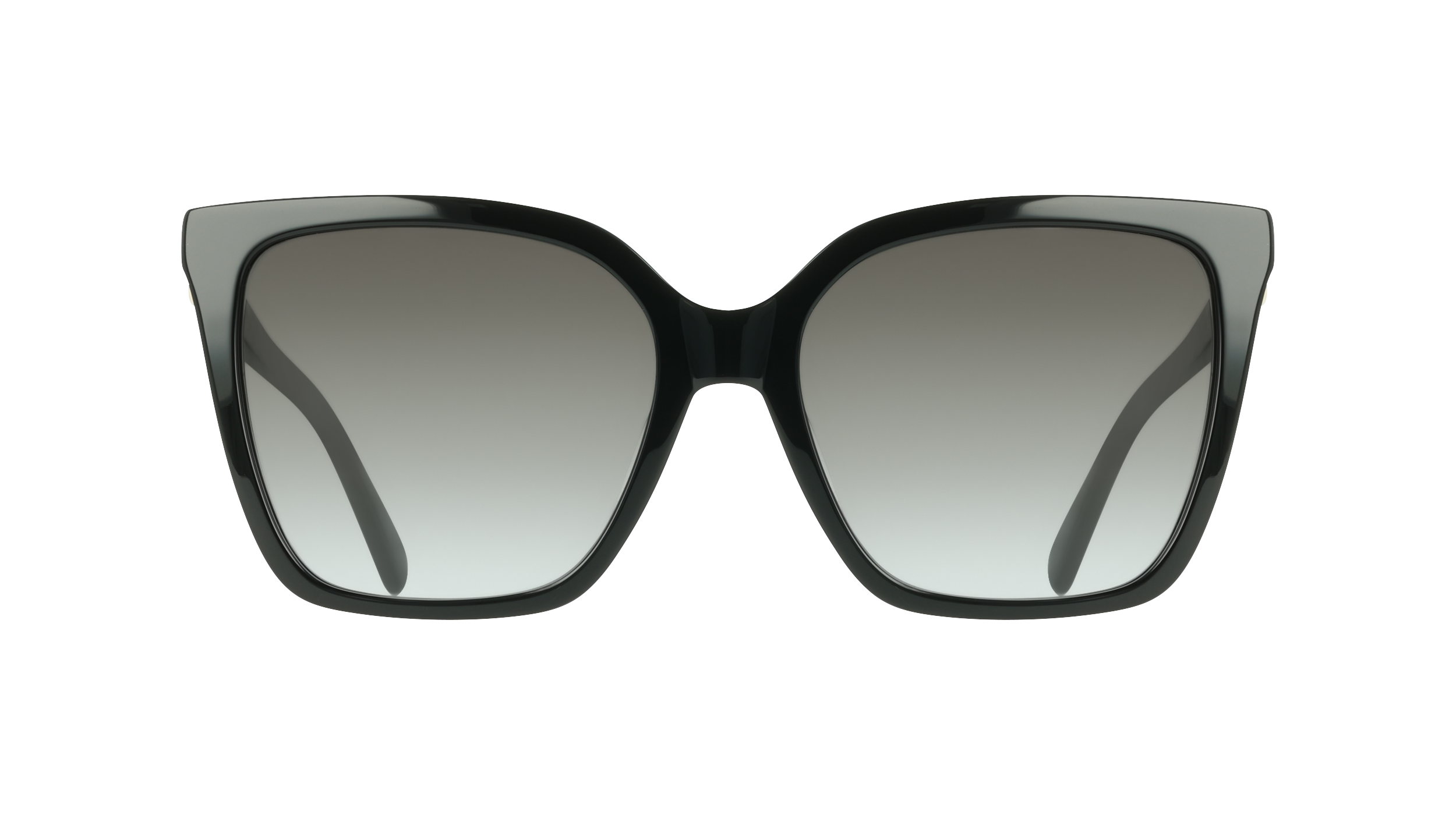 Ferragamo SF2121S 1