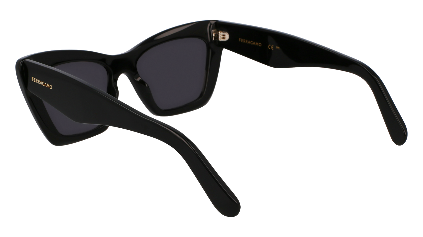 FERRAGAMO Sunglasses SF929SN 1 55