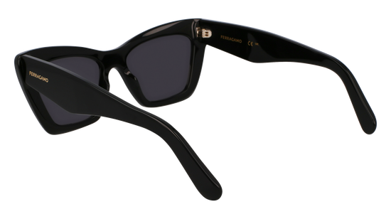 FERRAGAMO Sunglasses SF929SN 1 55