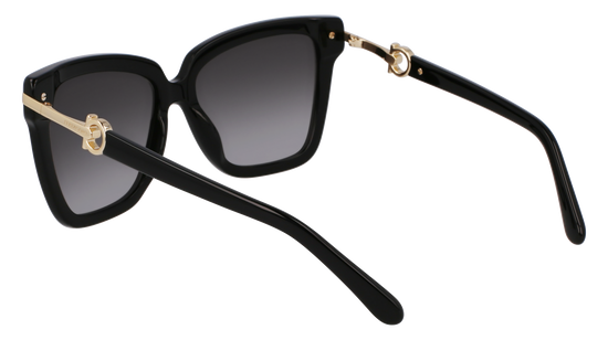 FERRAGAMO Sunglasses SF1085SN 11 57