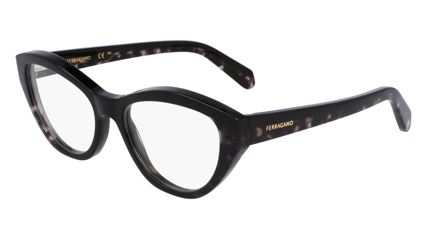 FERRAGAMO Eyeglasses SF3011 4 53