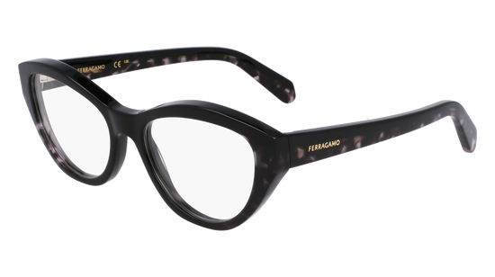 FERRAGAMO Eyeglasses SF3011 4 53