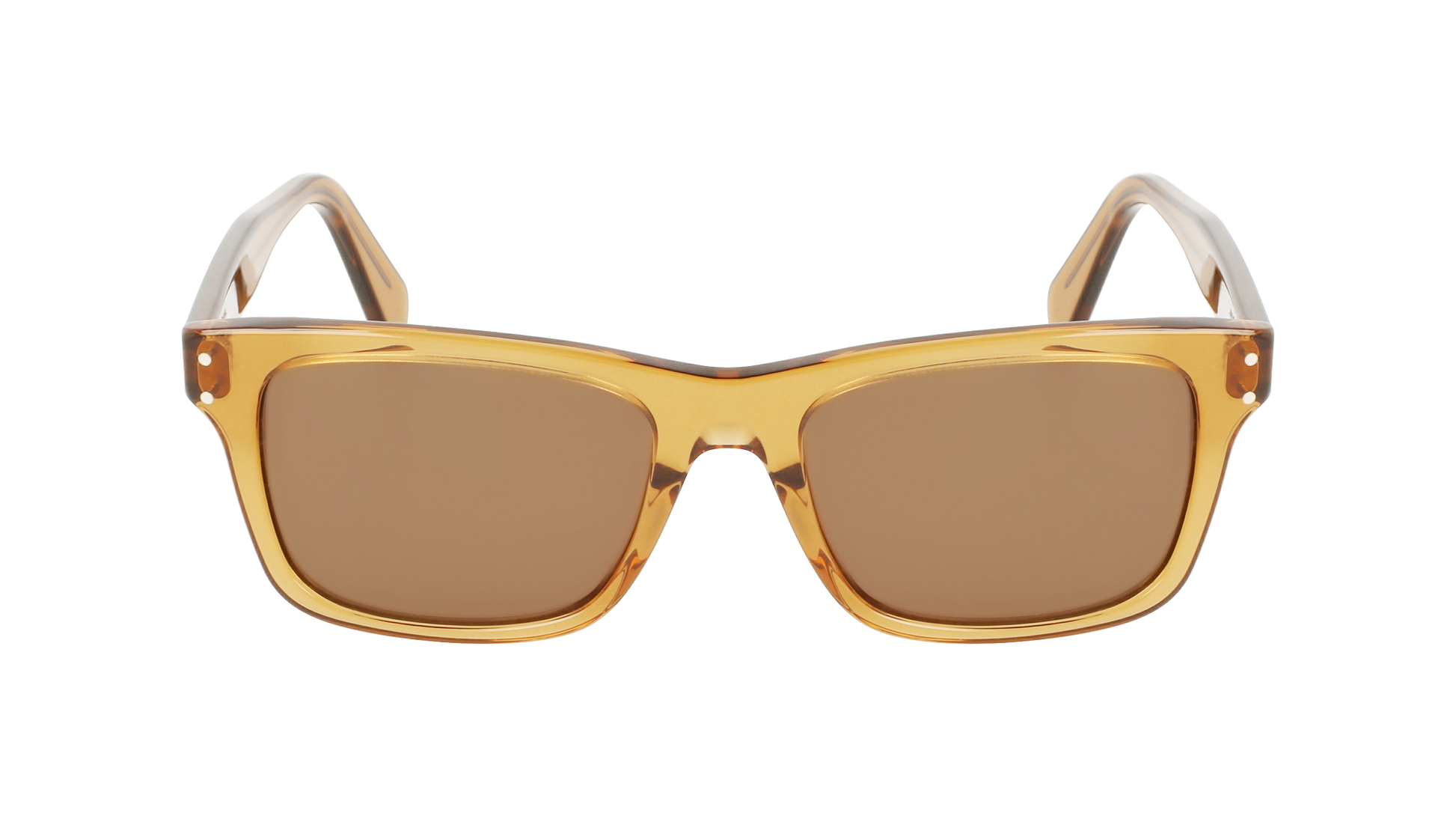 FERRAGAMO Sunglasses SF1039S 261 54