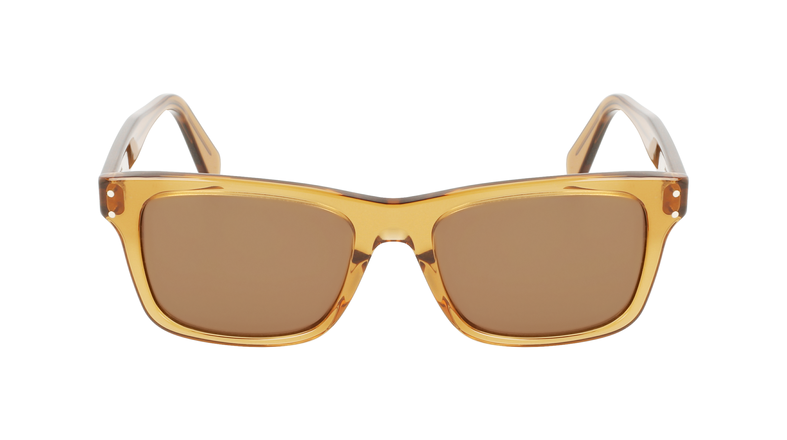 FERRAGAMO Sunglasses SF1039S 261 54