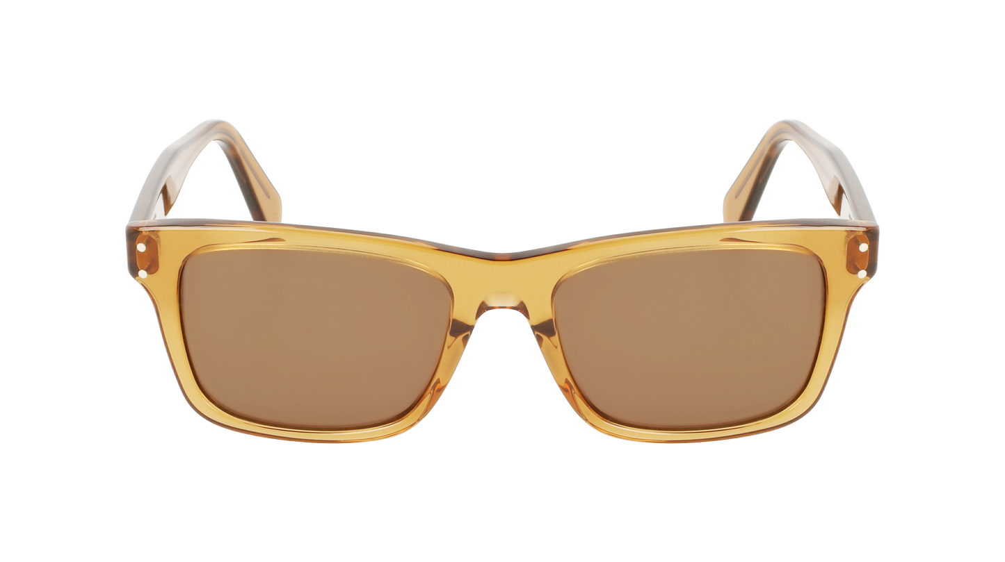 FERRAGAMO Sunglasses SF1039S 261 54