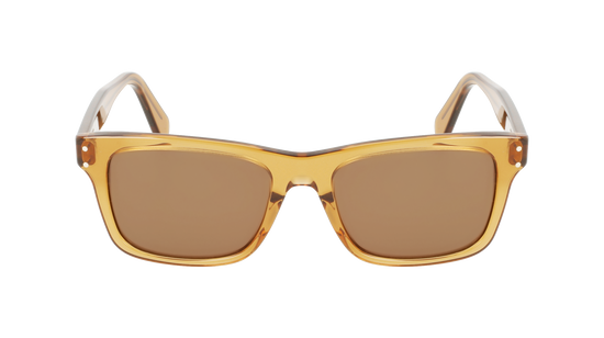 FERRAGAMO Sunglasses SF1039S 261 54