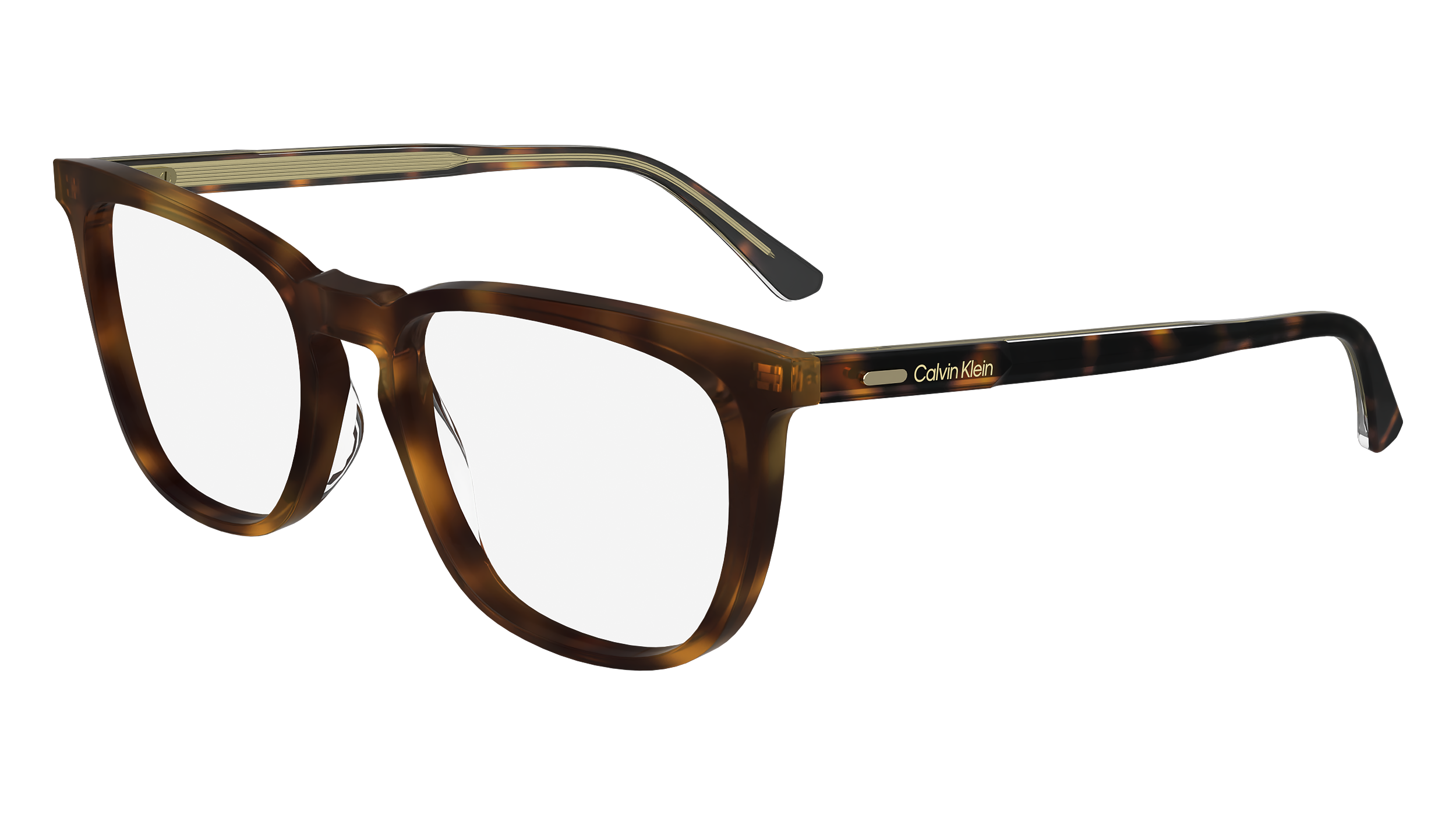 CALVIN KLEIN Eyeglasses CK24519 240 53