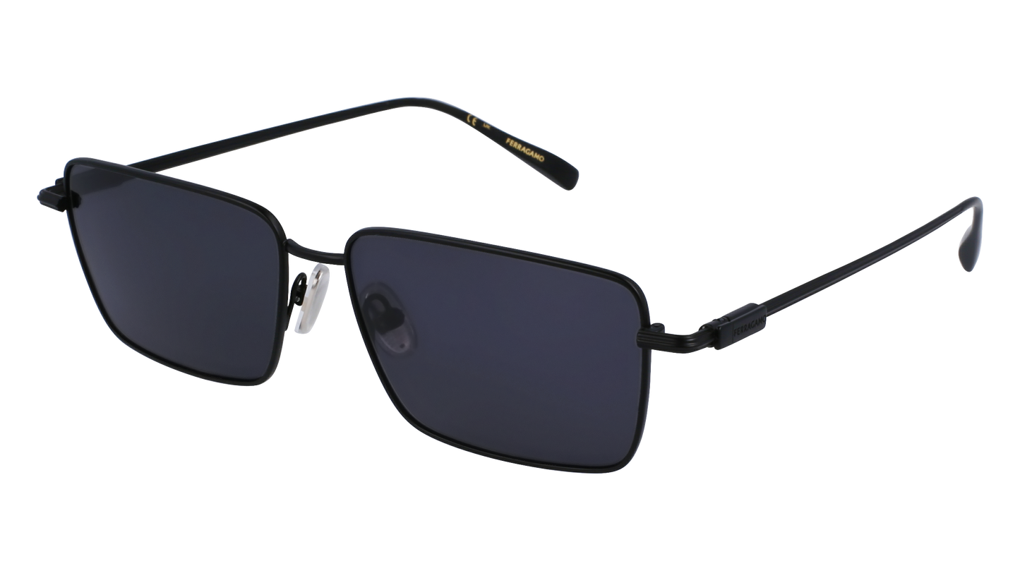 FERRAGAMO Sunglasses SF309S 2 57