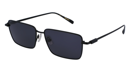 FERRAGAMO Sunglasses SF309S 2 57