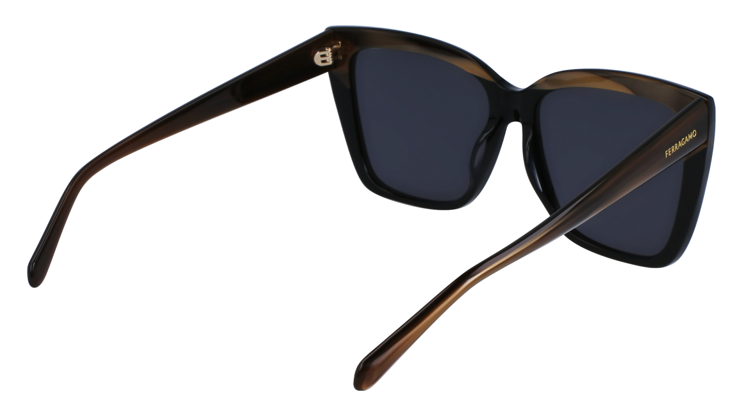 FERRAGAMO Sunglasses SF1102S 217 58