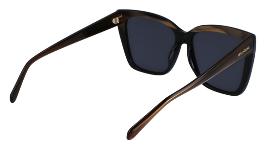 FERRAGAMO Sunglasses SF1102S 217 58