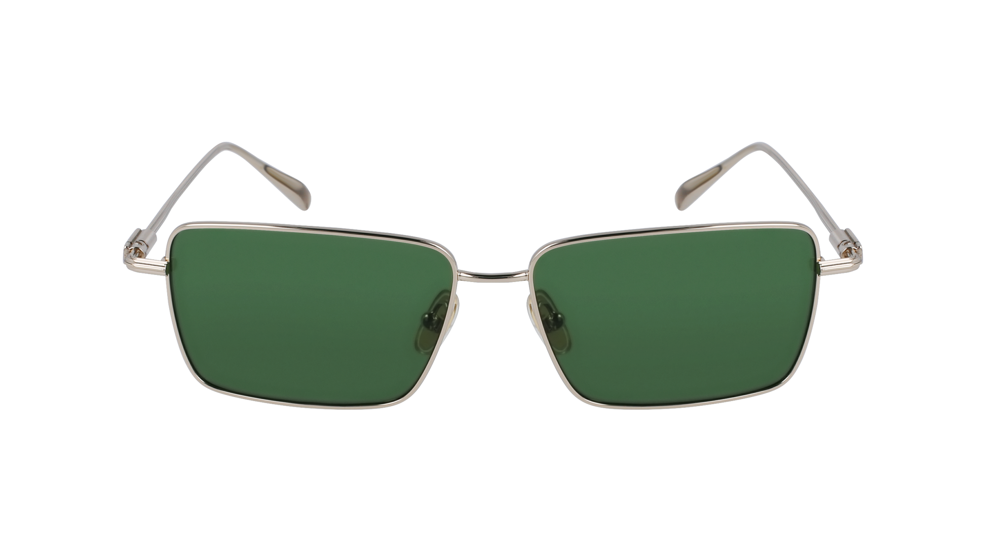 FERRAGAMO Sunglasses SF309S 746 57