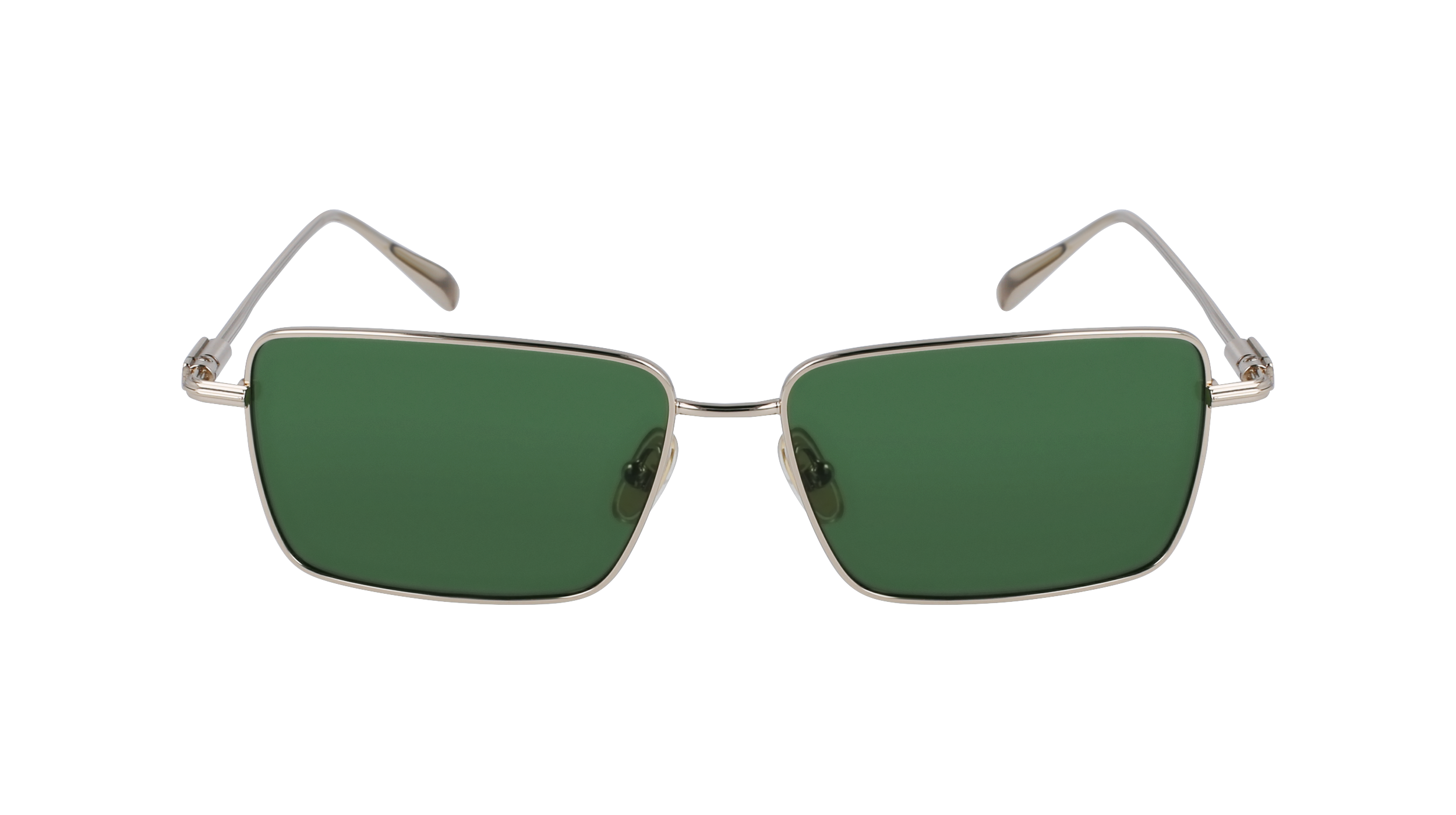 FERRAGAMO Sunglasses SF309S 746 57