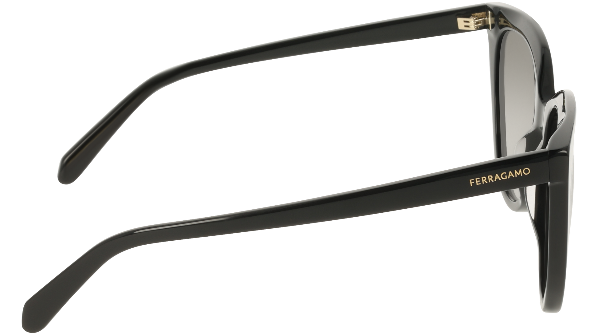 Ferragamo SF2101S 1