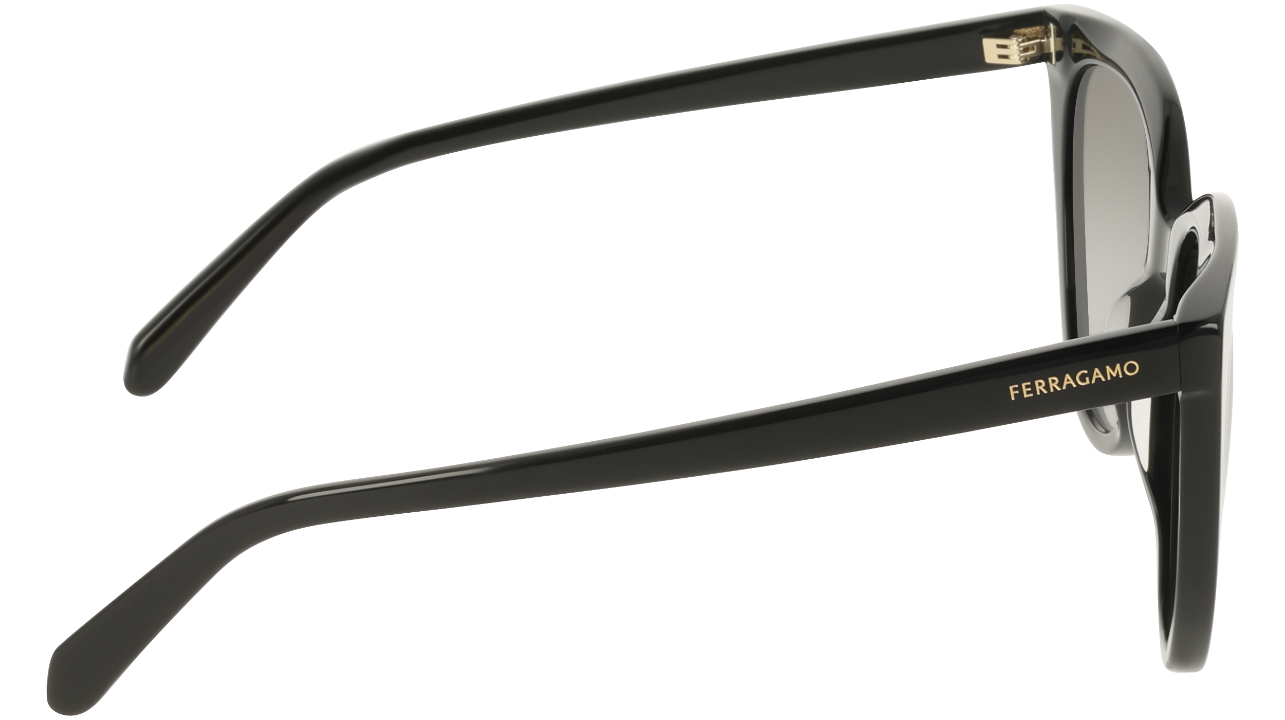 Ferragamo SF2101S 1