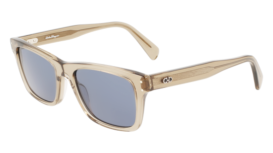 FERRAGAMO Sunglasses SF1039S 278 54