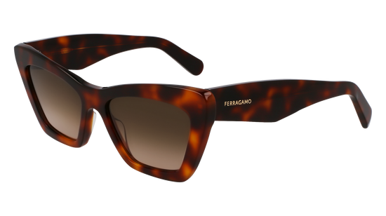 FERRAGAMO Sunglasses SF929SN 219 55