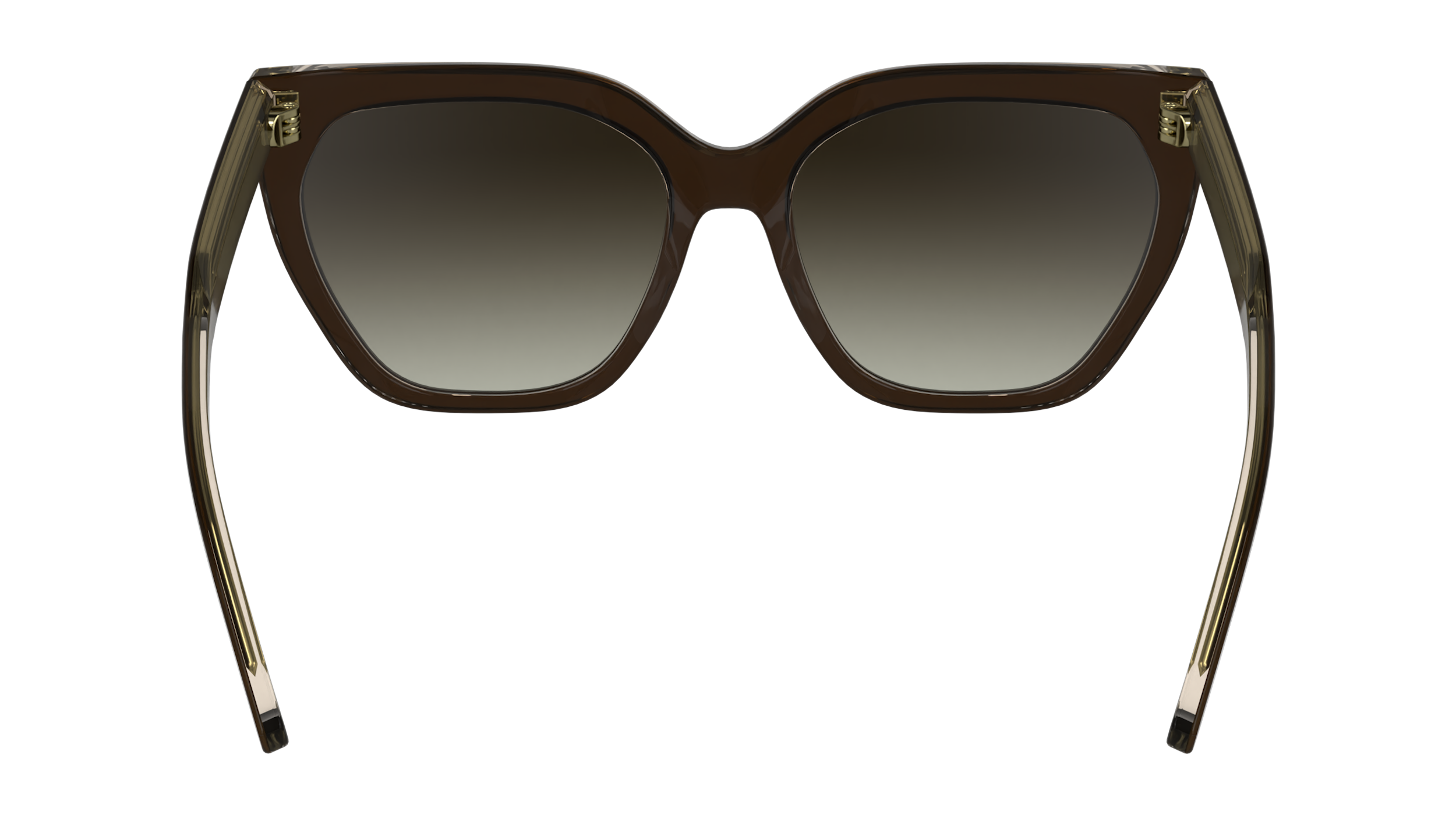 CALVIN KLEIN Sunglasses CK24535S 226 55
