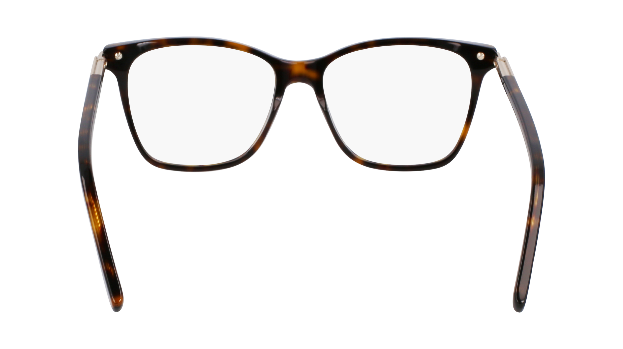 FERRAGAMO Eyeglasses SF3013 242 55