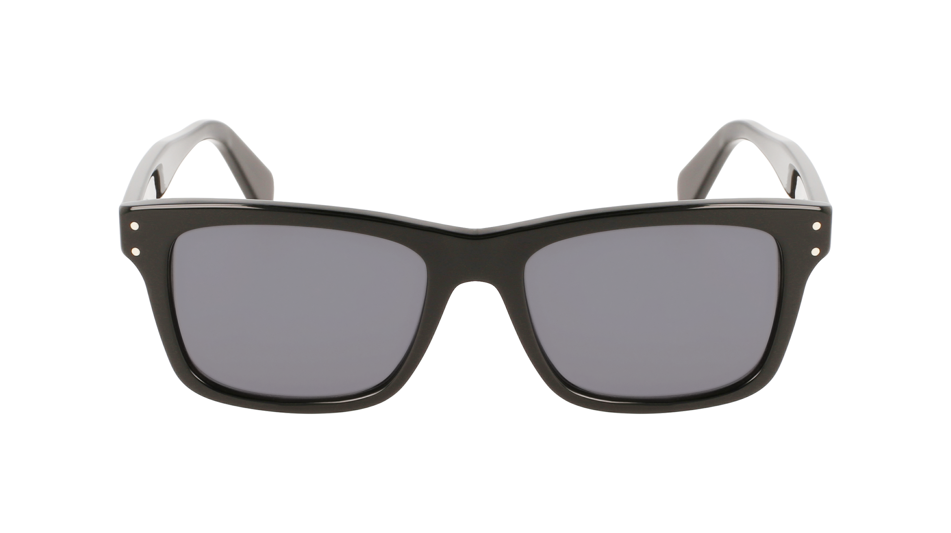 FERRAGAMO Sunglasses SF1039S 1 54