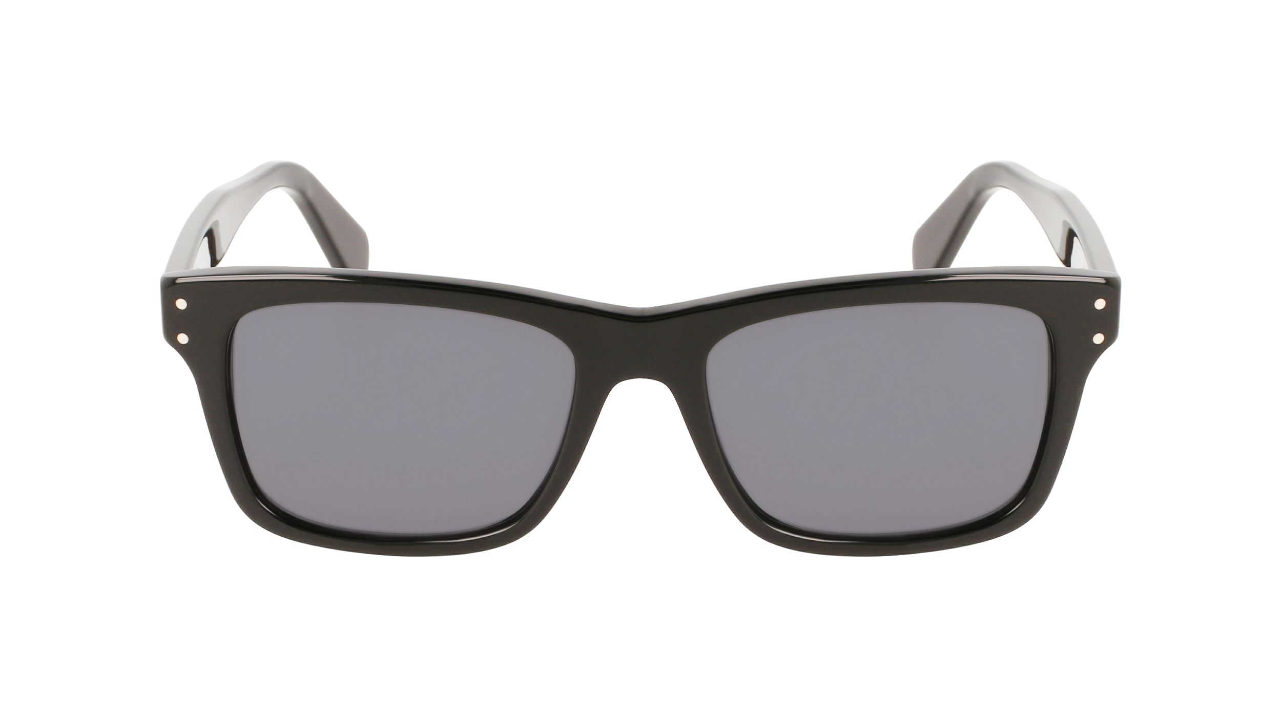 FERRAGAMO Sunglasses SF1039S 1 54