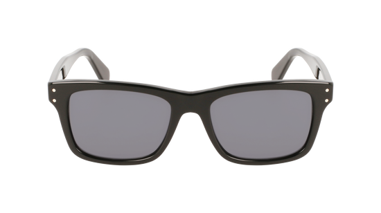 FERRAGAMO Sunglasses SF1039S 1 54