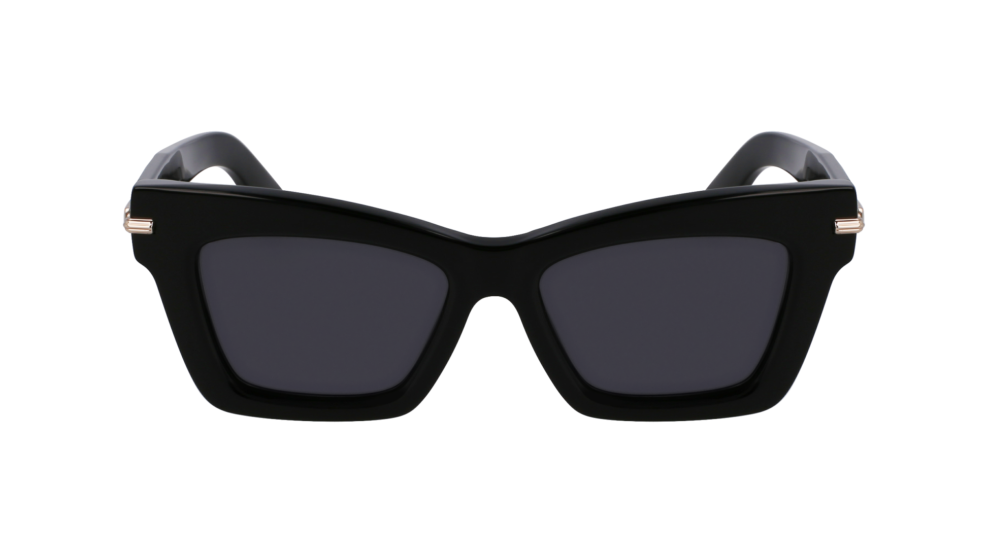 FERRAGAMO Sunglasses SF2031S 1 52