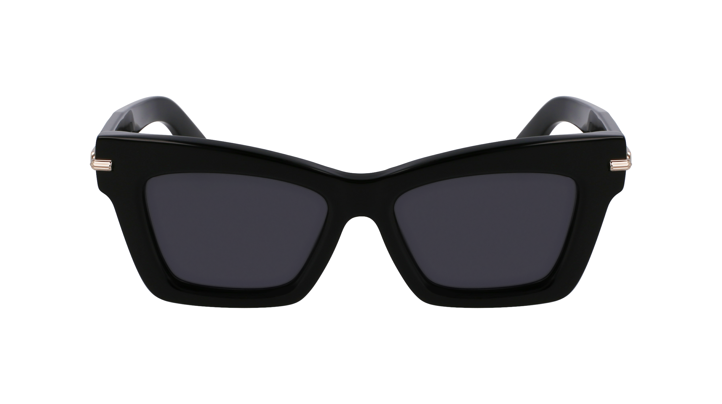 FERRAGAMO Sunglasses SF2031S 1 52