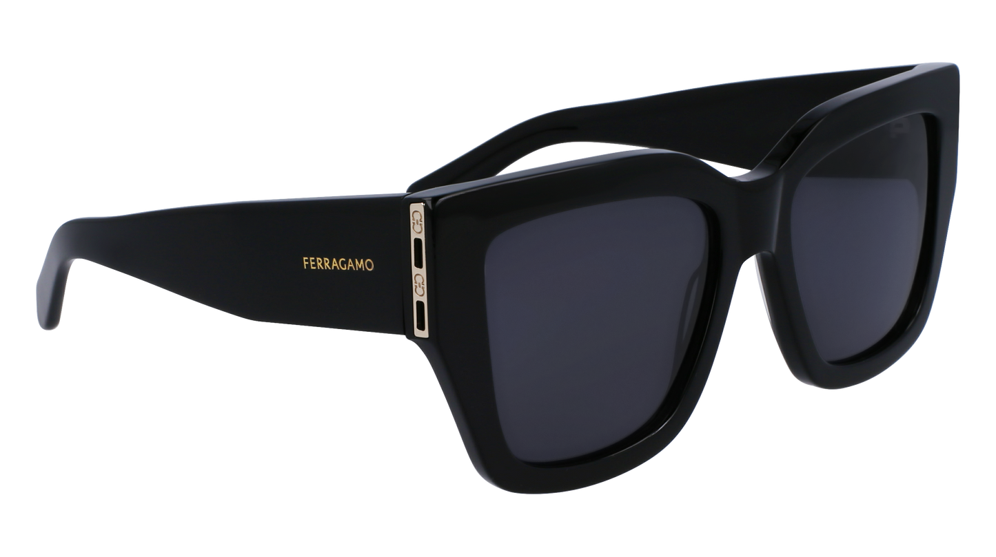 FERRAGAMO Sunglasses SF1104S 1 55