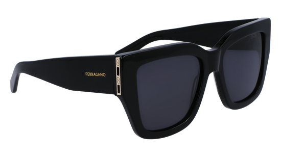 FERRAGAMO Sunglasses SF1104S 1 55