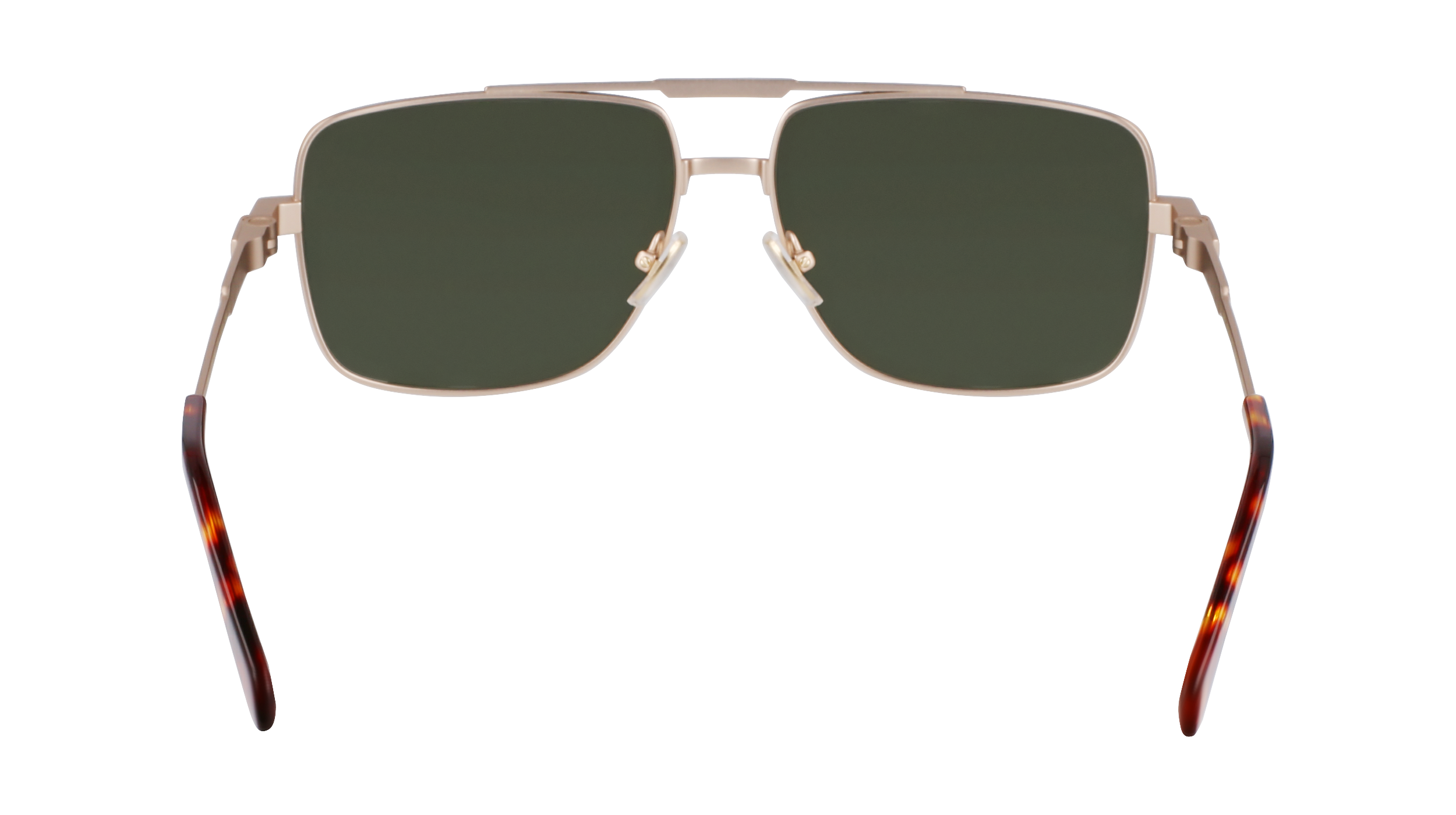 FERRAGAMO Sunglasses SF318S 710 60