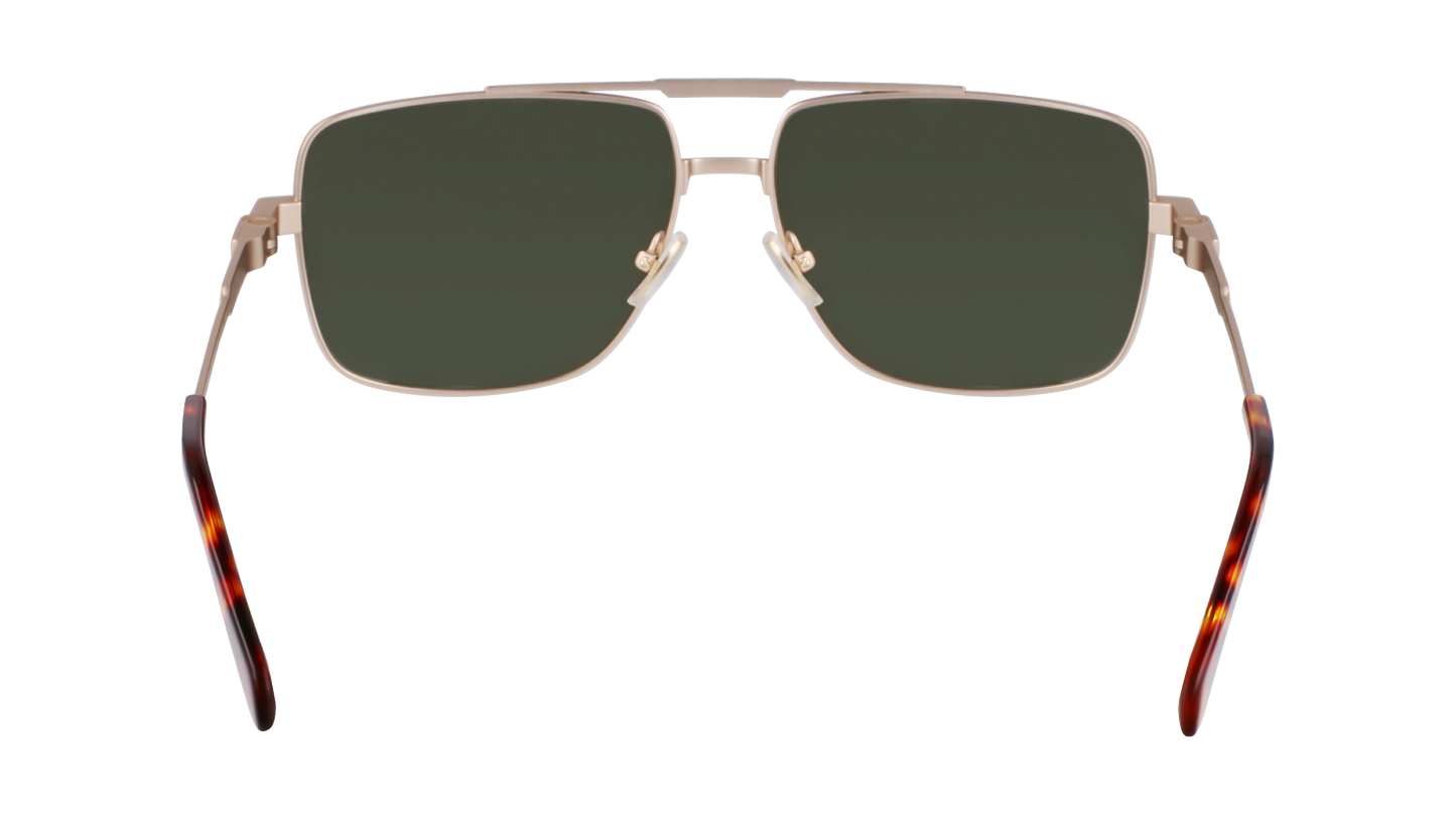 FERRAGAMO Sunglasses SF318S 710 60