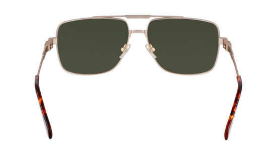 FERRAGAMO Sunglasses SF318S 710 60