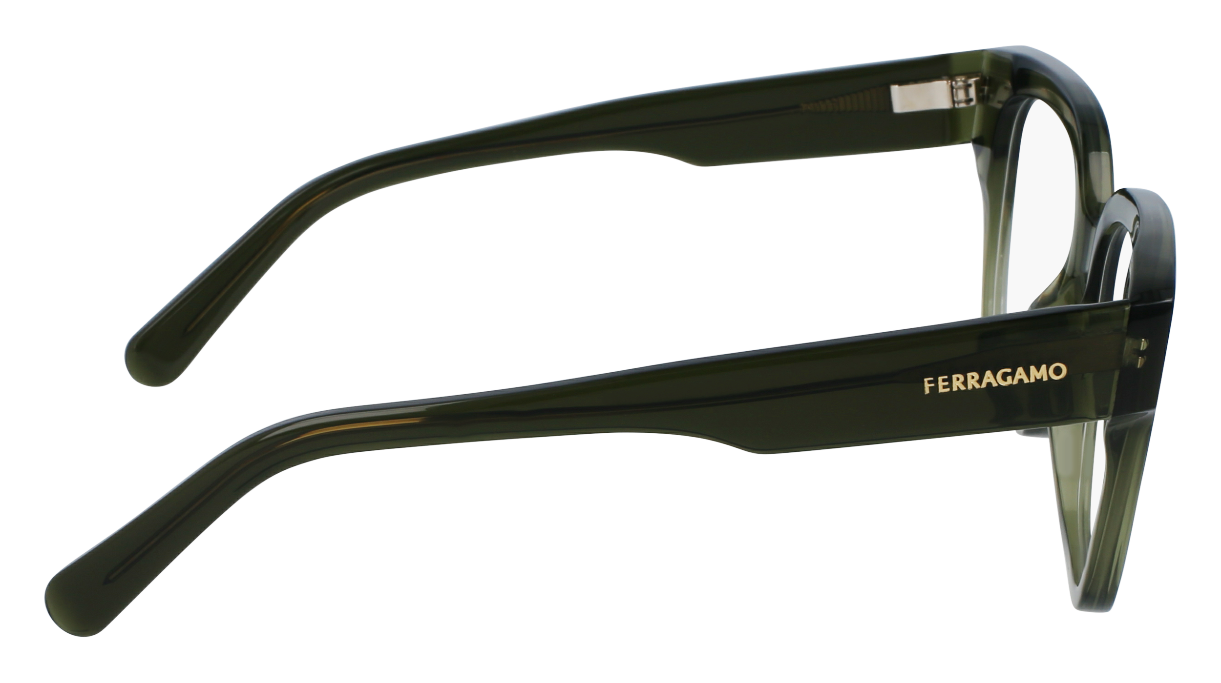 FERRAGAMO Eyeglasses SF2952N 320 53