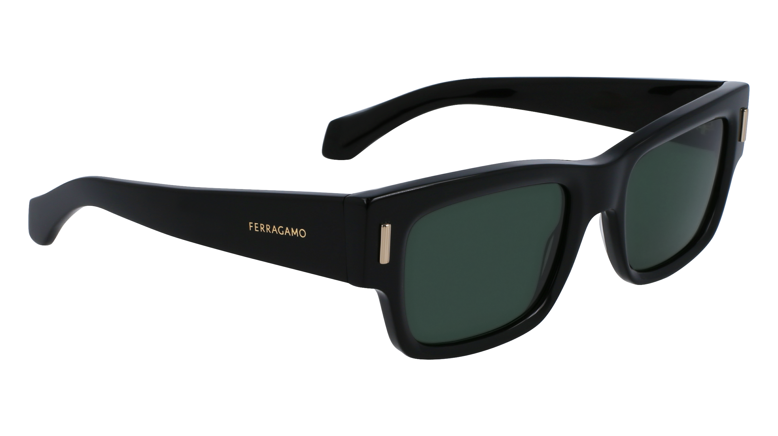 FERRAGAMO Sunglasses SF2011S 1 53