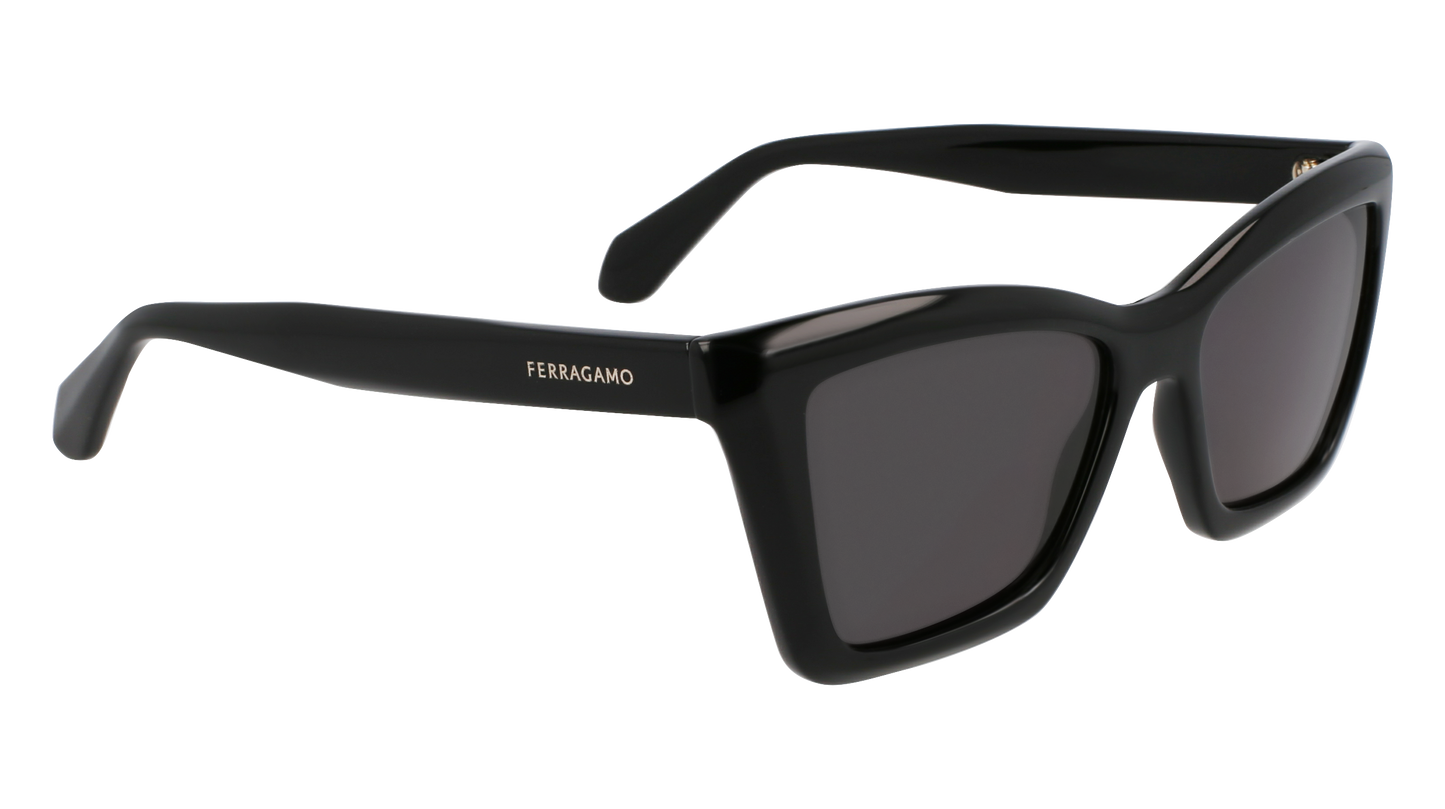 FERRAGAMO Sunglasses SF2039SE 1 53