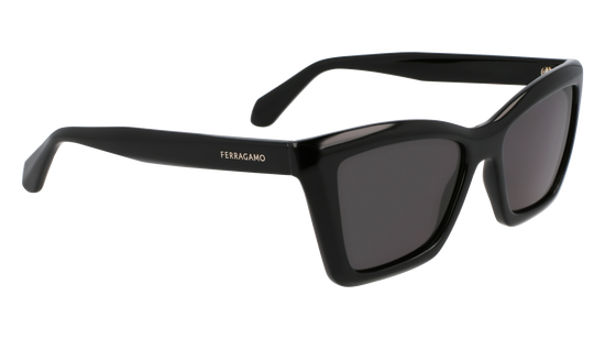 FERRAGAMO Sunglasses SF2039SE 1 53