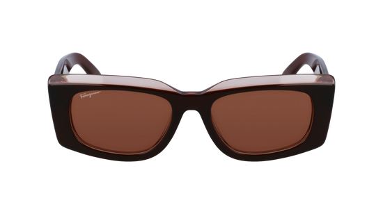 FERRAGAMO Sunglasses SF1079S 211 54