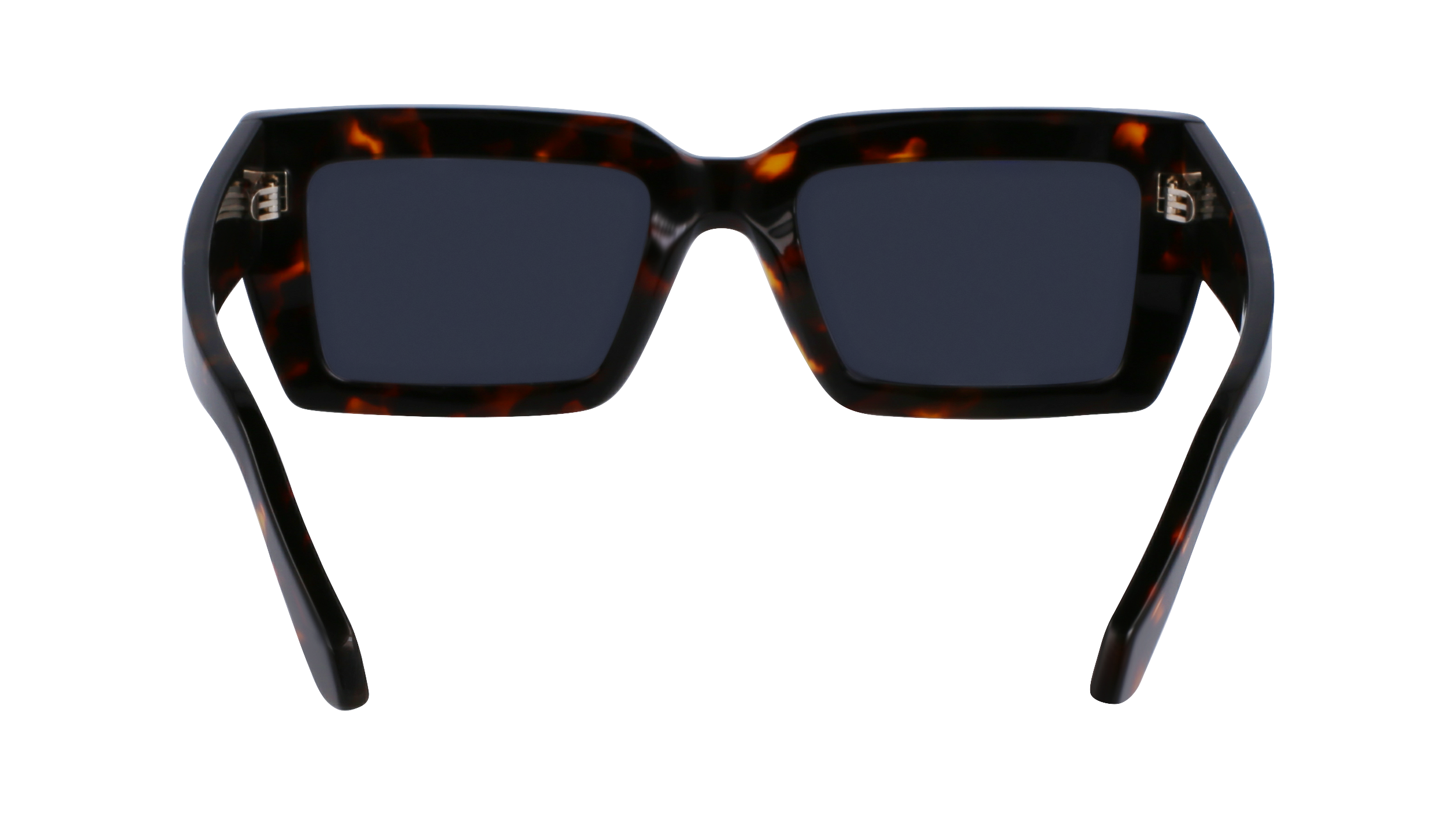 FERRAGAMO Sunglasses SF1108S 242 54